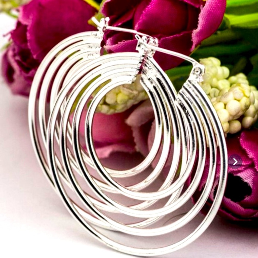 ✨Silver Hoops✨